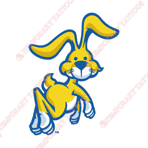 South Dakota State Jackrabbits Customize Temporary Tattoos Stickers NO.6230